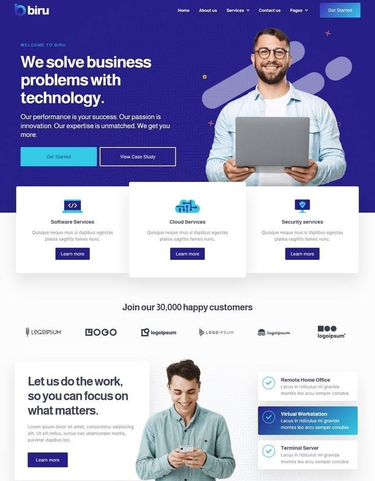 Professional services website development
